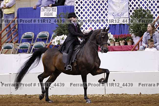 Proof 11r12_4439