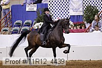 11r12_4439 proof