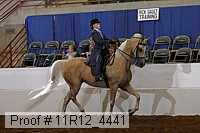 11r12_4441 proof