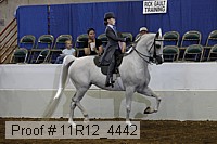 11r12_4442 proof