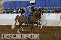 11r12_4443 proof