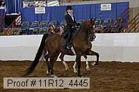 11r12_4445 proof