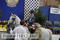 11r12_4447 proof