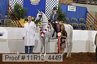 11r12_4449 proof