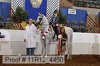 11r12_4450 proof
