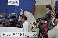 11r12_4455 proof