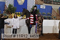 11r12_4459 proof