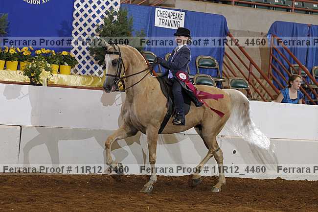 Proof 11r12_4460