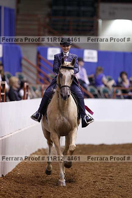 Proof 11r12_4461