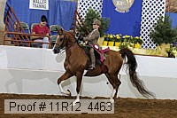 11r12_4463 proof