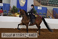 11r12_4467 proof