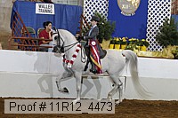 11r12_4473 proof