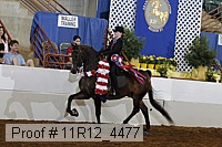 11r12_4477 proof