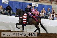 11r12_4479 proof