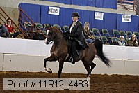 11r12_4483 proof
