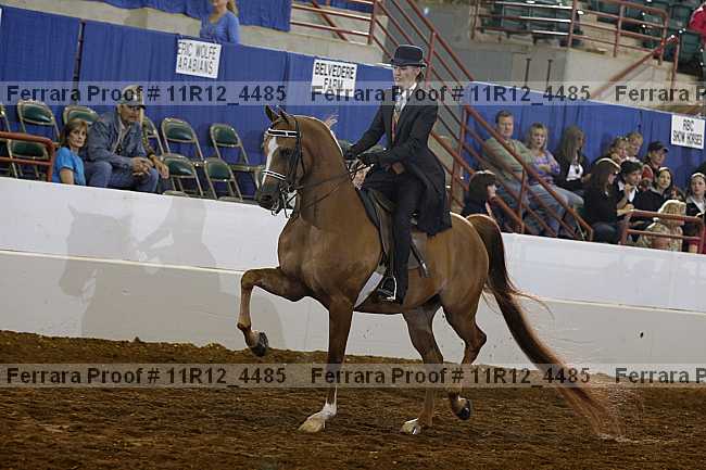 Proof 11r12_4485