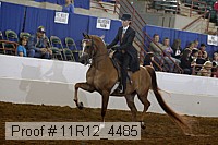 11r12_4485 proof