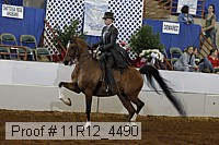11r12_4490 proof