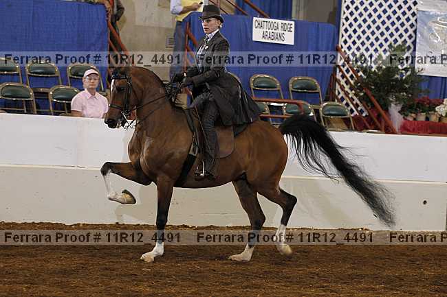 Proof 11r12_4491