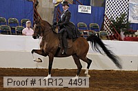 11r12_4491 proof