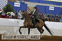 11r12_4492 proof