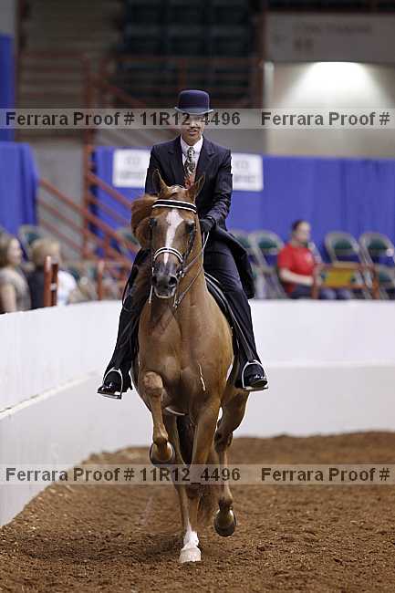 Proof 11r12_4496
