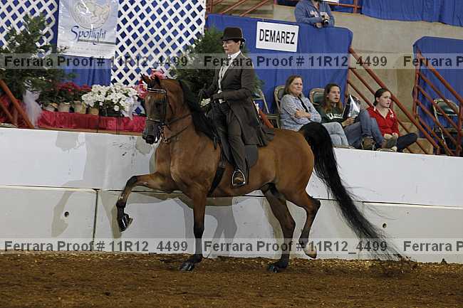 Proof 11r12_4499