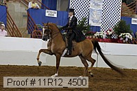 11r12_4500 proof