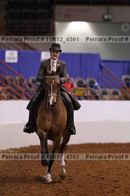 Proof 11r12_4501