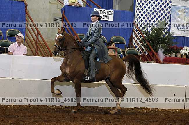 Proof 11r12_4503