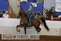 11r12_4503 proof