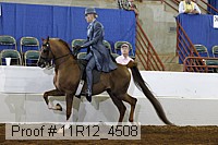 11r12_4508 proof