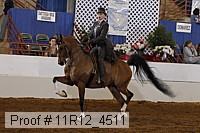 11r12_4511 proof
