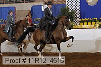 11r12_4516 proof