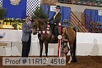 11r12_4518 proof