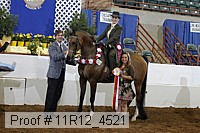 11r12_4521 proof