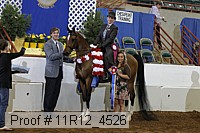 11r12_4526 proof