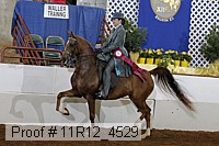 11r12_4529 proof