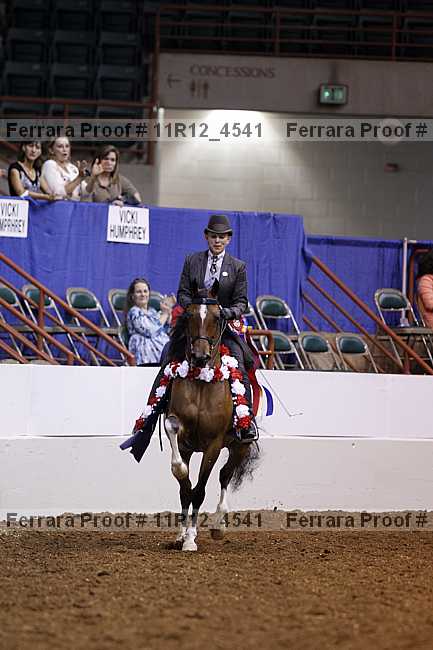 Proof 11r12_4541