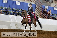 11r12_4543 proof