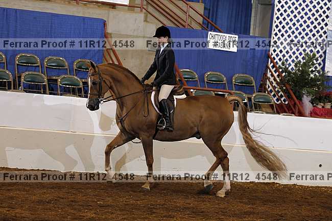 Proof 11r12_4548