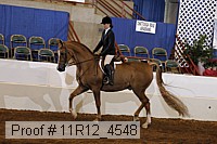 11r12_4548 proof