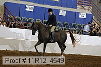 11r12_4549 proof