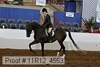 11r12_4553 proof