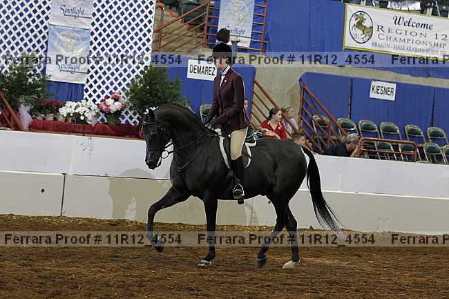 Proof 11r12_4554