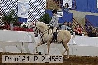 11r12_4557 proof
