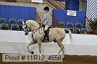 11r12_4558 proof