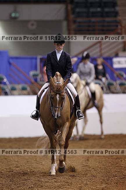 Proof 11r12_4563