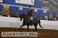 11r12_4564 proof