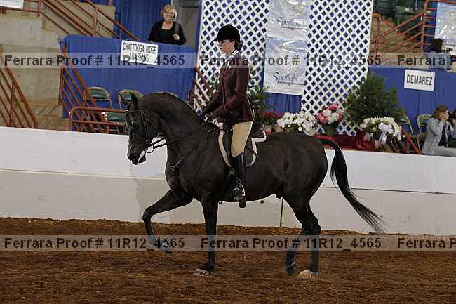Proof 11r12_4565